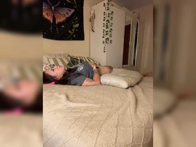 reyniri, live now on BongaCams