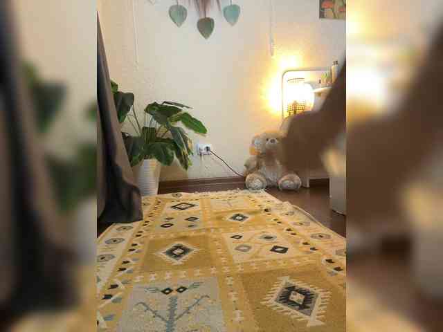 Rainey_ webcam