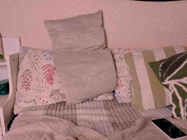Модель: Rainey_