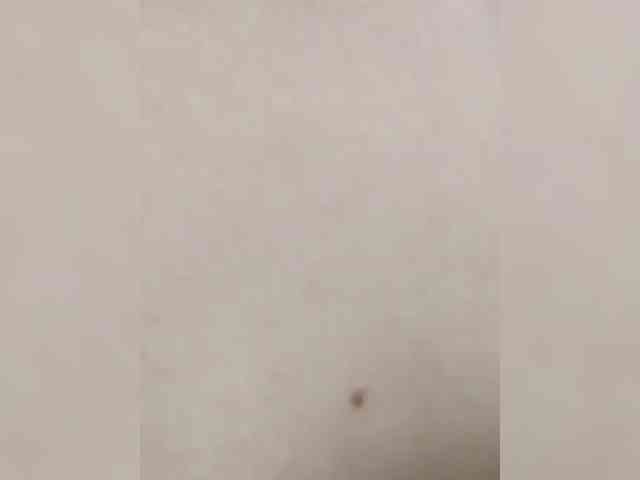 Star_25 webcam