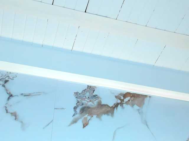KarolBlanco live cam on BongaCams