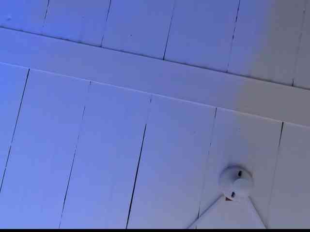 KarolBlanco webcam