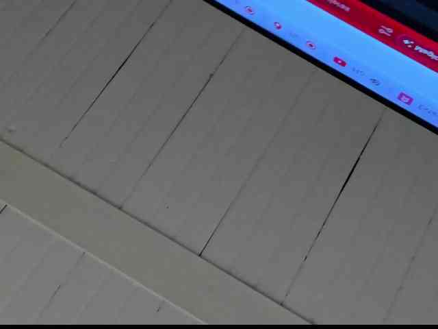 KarolBlanco webcam