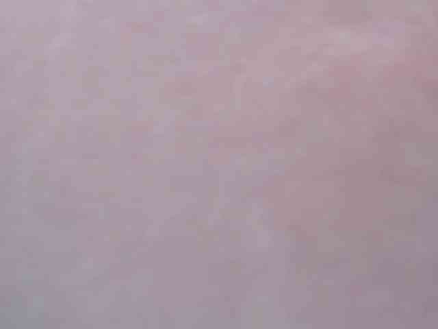 zhemchuzhinka webcam