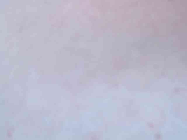 zhemchuzhinka webcam