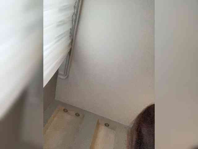 KatrinZeta webcam