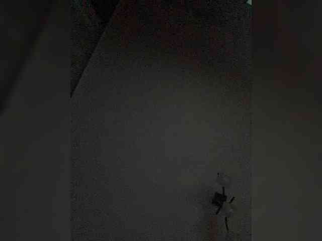 KatrinZeta webcam