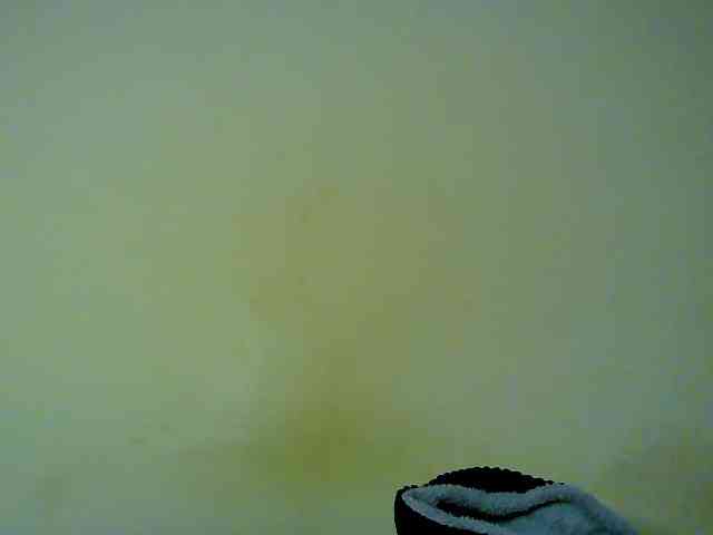 Savagetonguee webcam