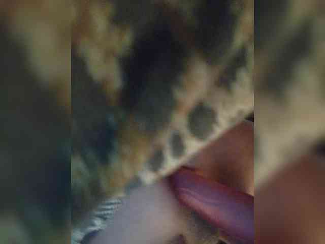 Bacardyrazzz