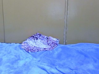 maya-pretty's Live Webcam