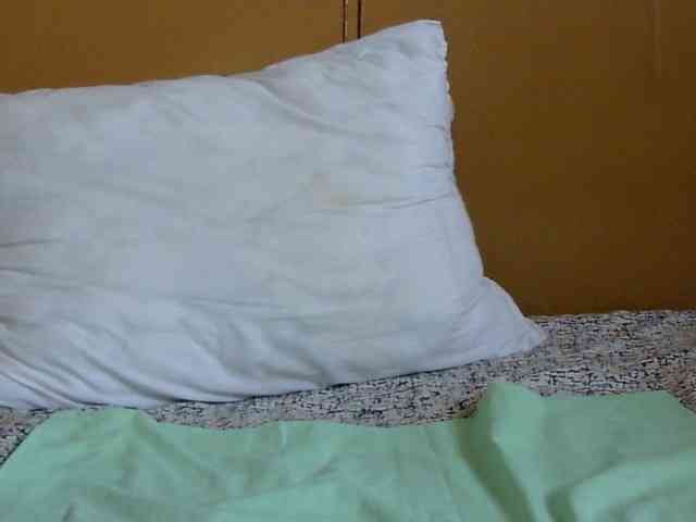 maya-pretty webcam