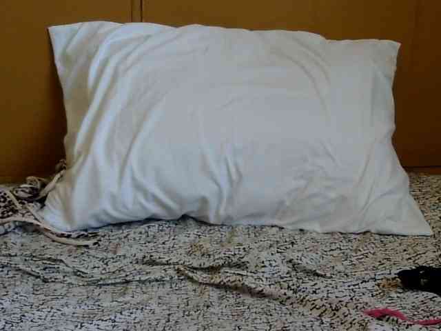 maya-pretty webcam