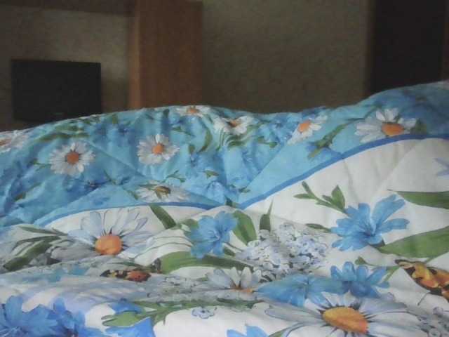 111Rusik111