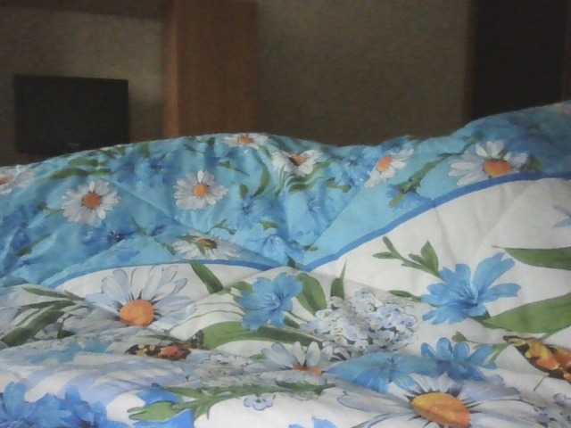 111Rusik111