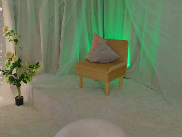 Adetta webcam