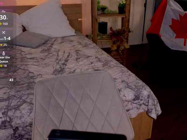Adetta webcam