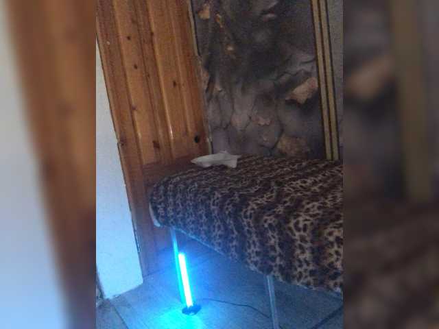 DiVona live cam preview