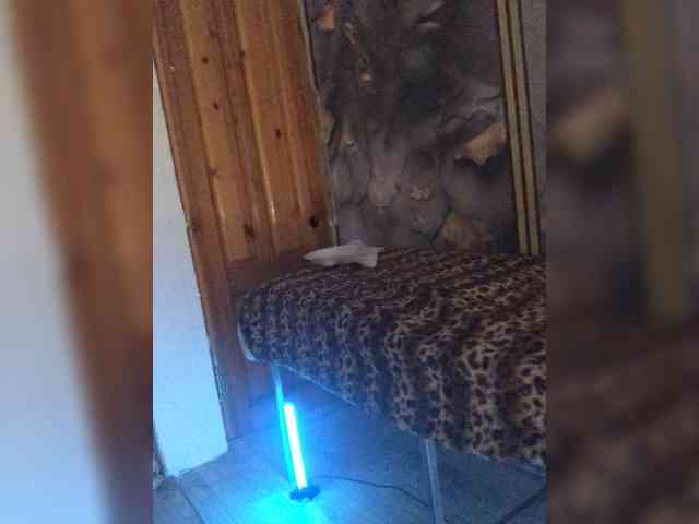 DiVona webcam