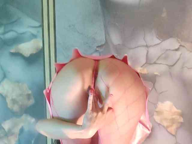 DiVona webcam