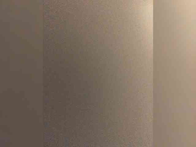 DiVona webcam