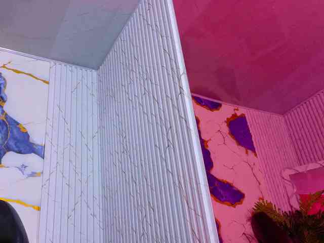 Lexy-tay webcam