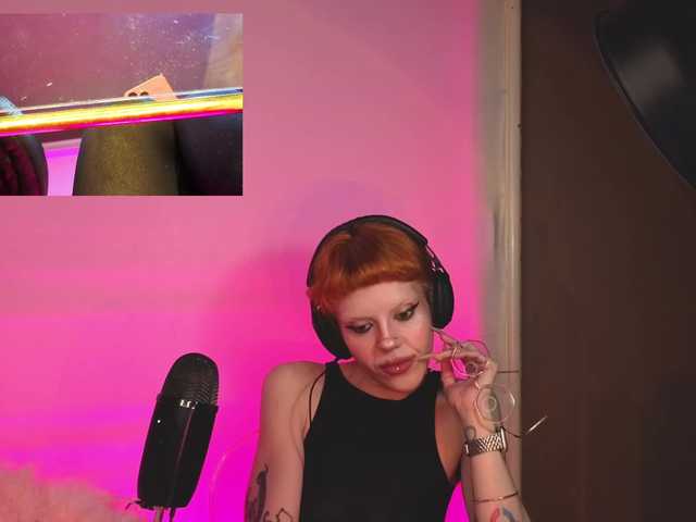 tacodeluxe's BongaCams show and profile