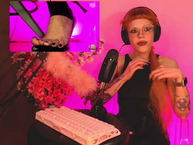 Preview of tacodeluxe