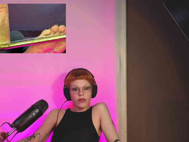 tacodeluxe webcam