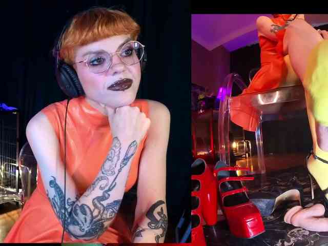 tacodeluxe webcam
