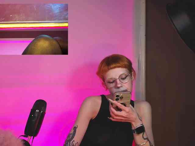 tacodeluxe webcam