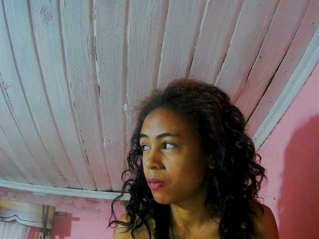 Preview of reinewallashy3