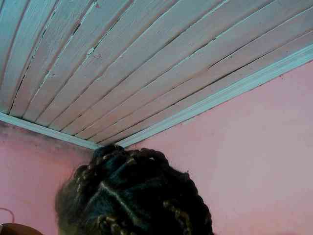 Reinewallashy3 webcam