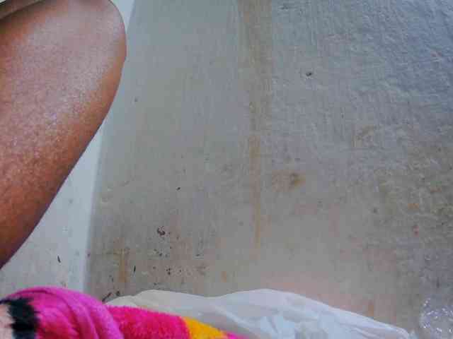 Reinewallashy3 webcam