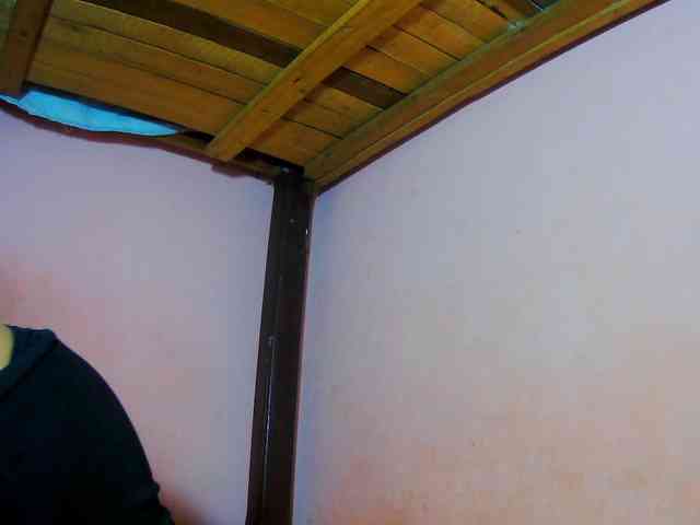 Reinewallashy3 webcam