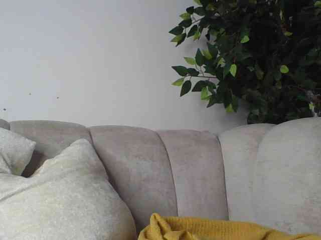 Zarabi webcam