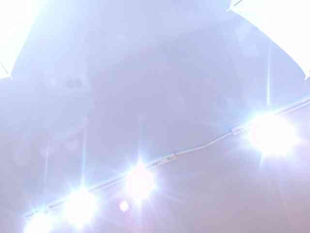KendyLoveLans webcam