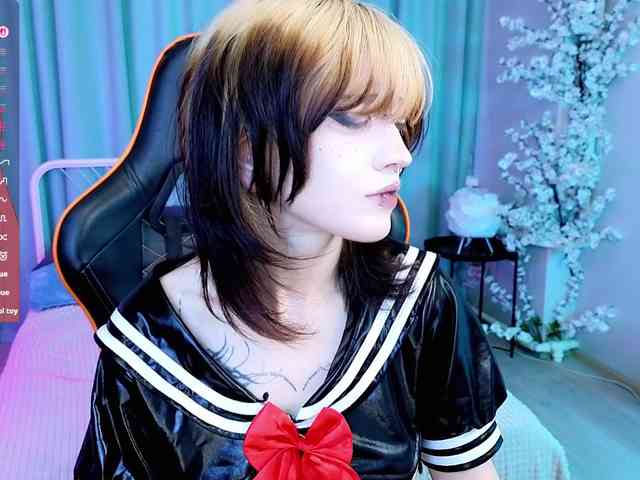 モデル: Setsunai