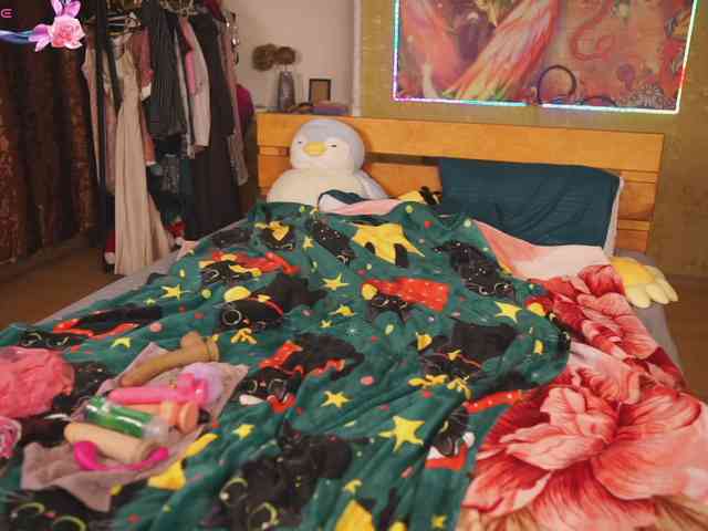 Dia-Angel webcam