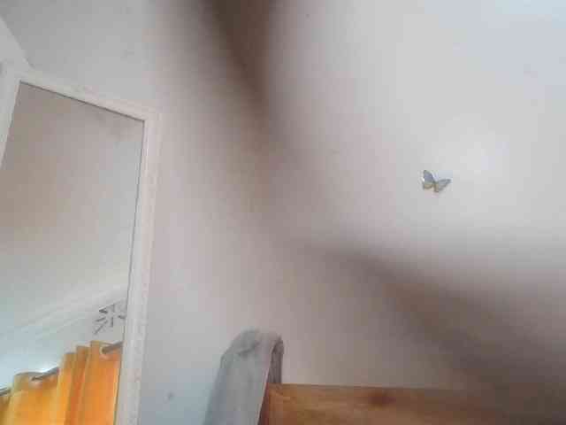 Doracandy webcam