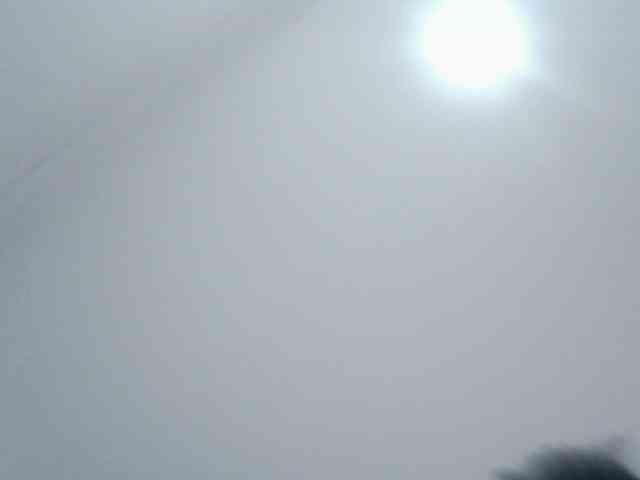 Doracandy webcam