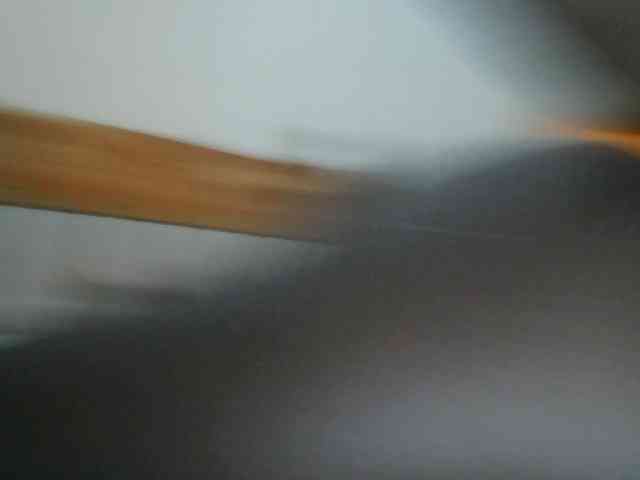 Doracandy webcam
