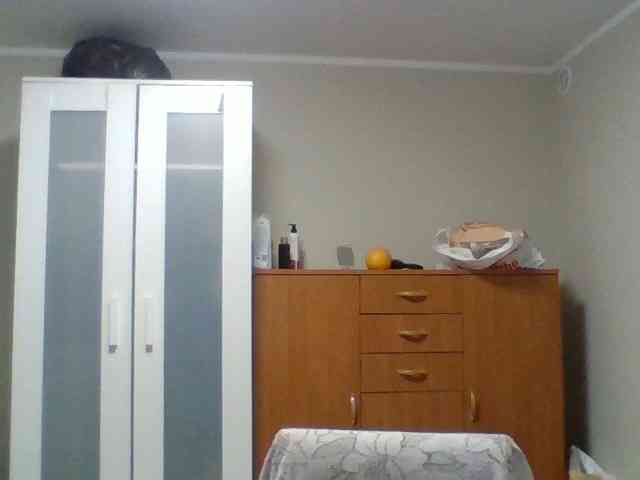lora805608 webcam