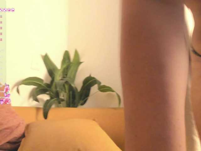 Layla-arabelle live cam on BongaCams
