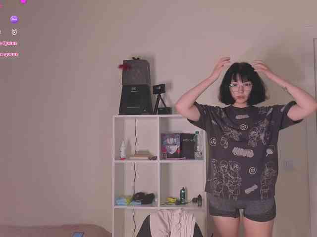Lirras webcam