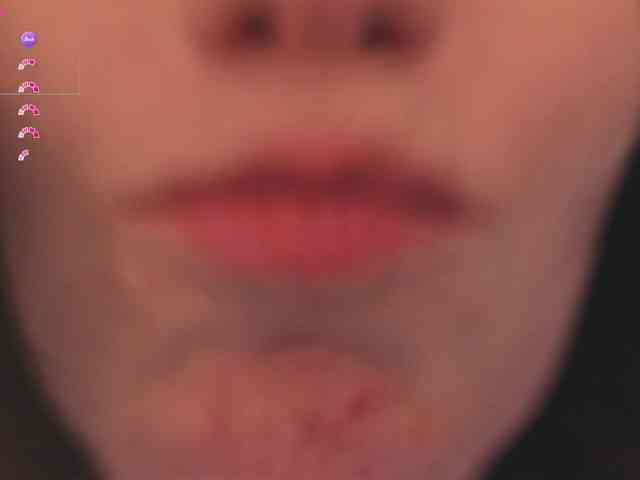 Lirras webcam