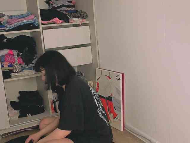 Lirras webcam