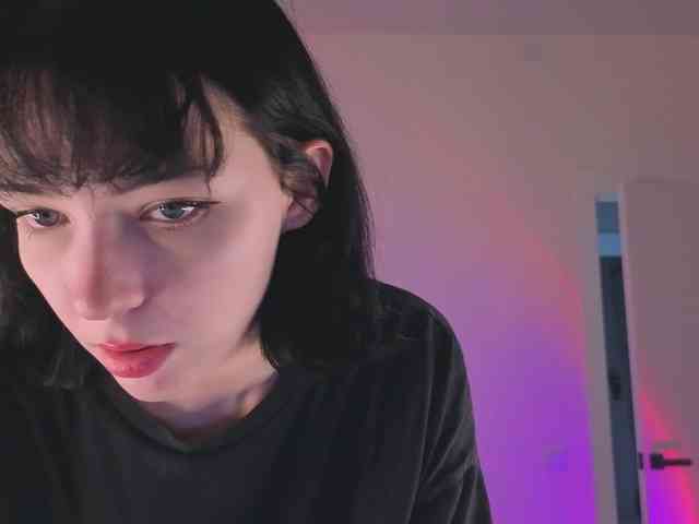 Lirras webcam
