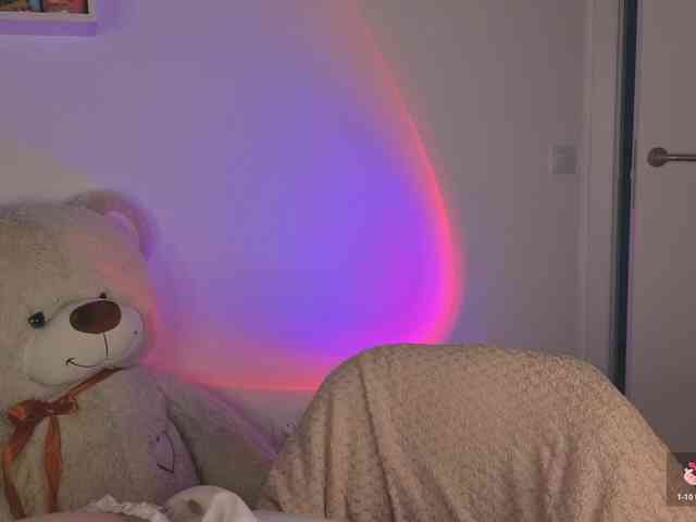 Lirras webcam