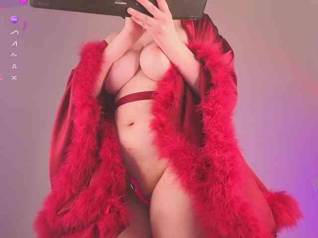 Lirras webcam
