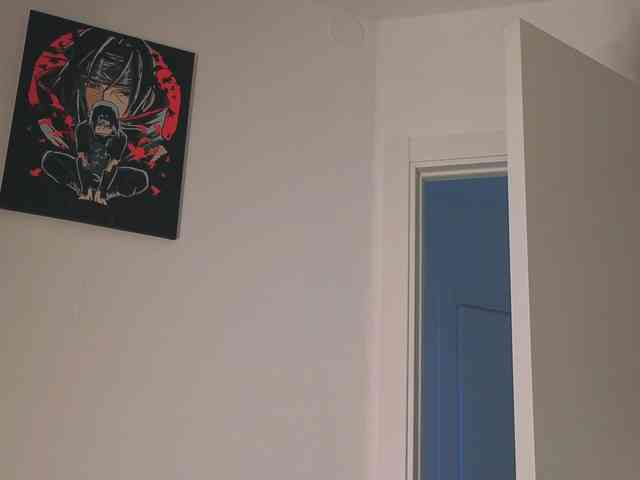 Lirras webcam